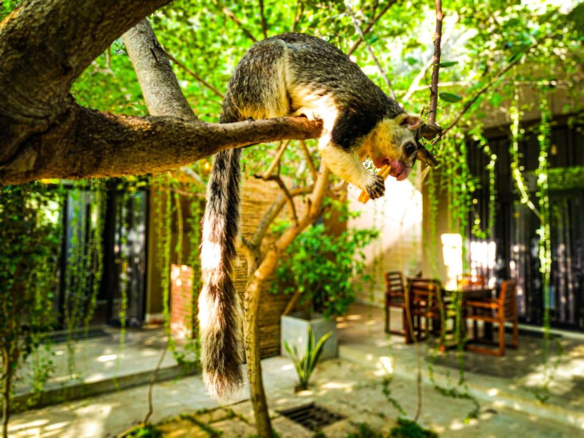 Isi Arana Eco Villa อนุราธปุระ ภายนอก รูปภาพ