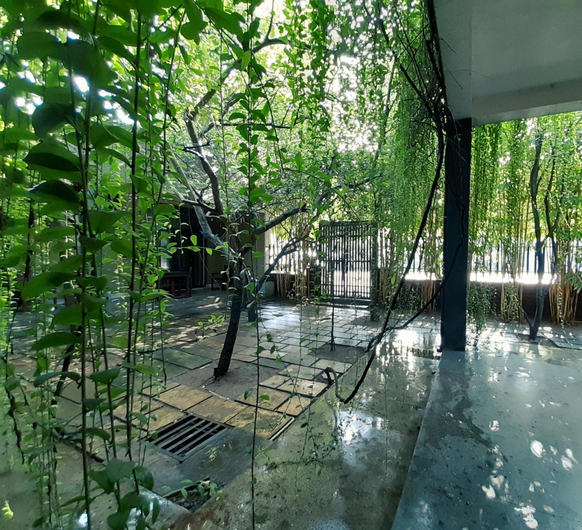 Isi Arana Eco Villa อนุราธปุระ ภายนอก รูปภาพ
